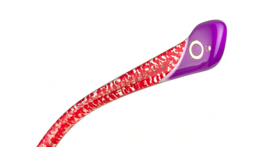 Etnia Barcelona IGUAZU Eyeglasses - view 41
